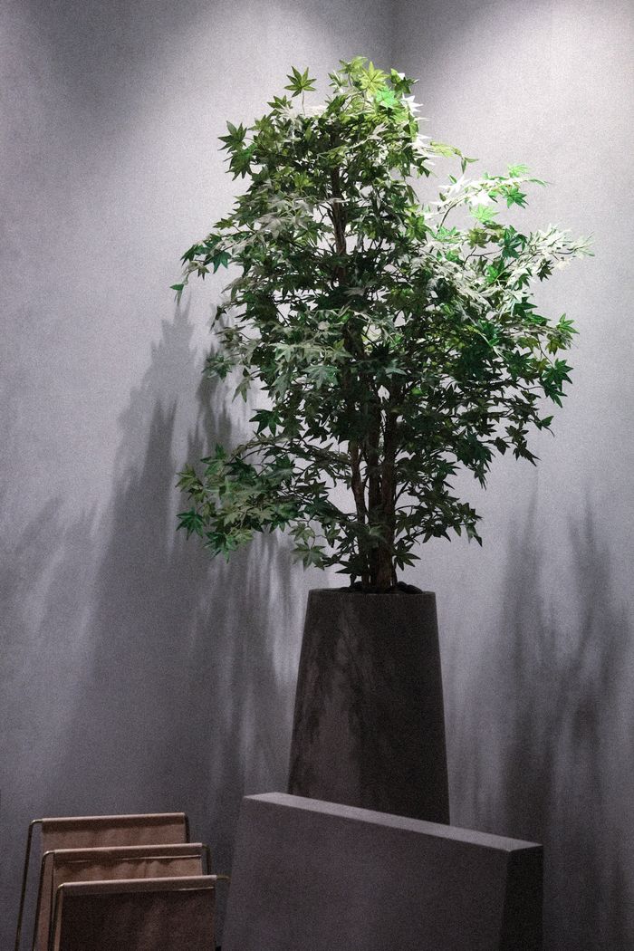 A sleek and modern potted plant against a gray wall, ideal for minimalist decor.