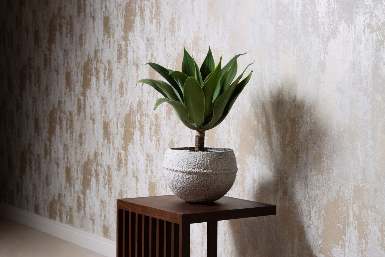 Elegant plant in a textured pot on a wooden table against a stylish wall.
